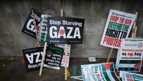 Student accused of chanting &lsquo;put the Zios in the ground&rsquo; during protest charged