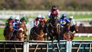 Minella Study already has plenty of boxes ticked for March