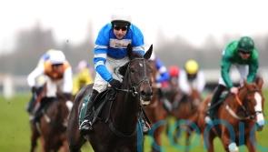 Skelton convinced Kadastral will make his name over fences