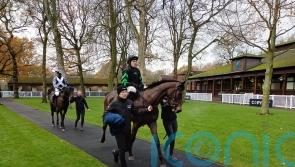 Skelton excited ahead of Mydaddypaddy&rsquo;s date at Aintree