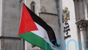 Palestine Action protesters on hunger strike in prison &lsquo;are dying&rsquo;, doctor says