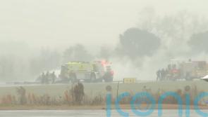 Retired Nascar driver Greg Biffle and family among seven killed plane crash