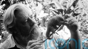 Rare specimens collected by naturalist Gerald Durrell donated to museum
