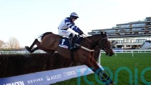 Steel Ally shines brightest in Noel test