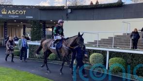 Murphy proud as Strong Leader goes down fighting