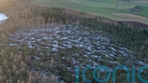 It will &lsquo;take years&rsquo; to fully clear damage from previous storms &ndash; National Trust