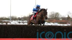 Boothill aiming for Kempton clear round