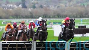 Kingwell plan for Ascot third Alexei
