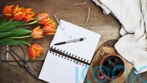 Essential gardening jobs for each month of the New Year