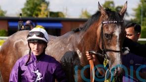 Rowan Scott joins Amo Racing team