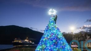 In Pictures: Christmas light displays bring sparkle and joy