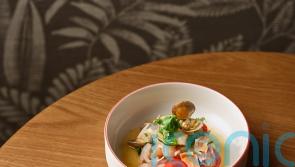 Nobu&rsquo;s seafood ceviche recipe