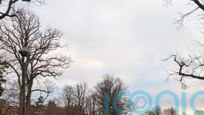 Thousands turn out for Christmas morning parkruns