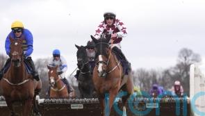 El Cairos makes Supreme impression despite Leopardstown mishap