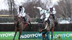 Romeo Coolio digs deep for Leopardstown win