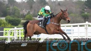 Narciso Has smart look to him at Leopardstown