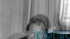 &lsquo;Dubious&rsquo; if all-island court would convict more fugitives &ndash; Irish AG in 1982