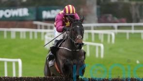 Koktail Divin off the mark with Leopardstown chase triumph