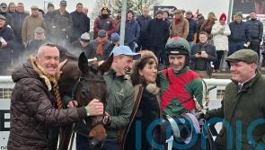 Final Demand scoops Grade One glory at Limerick