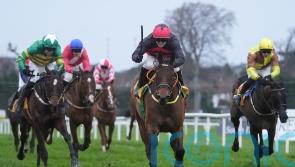 Affordale Fury brushes aside big names to secure Savills Chase title