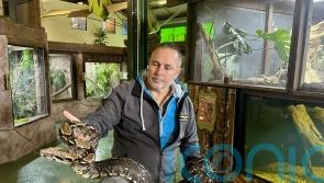 Reptile expert warns over &lsquo;surprising&rsquo; lack of regulation on exotic pets
