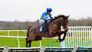 Minella Yoga bursts into Triumph Hurdle picture