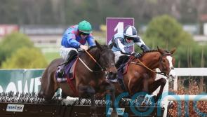 Prolific mare Wodhooh wins again for Elliott