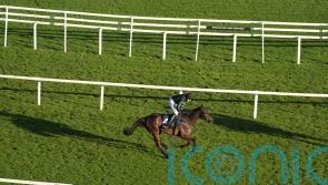 Skelton retains full faith in Mydaddypaddy despite Aintree defeat