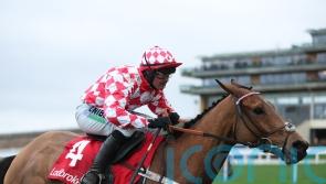 Henderson outlines potential routes to Cheltenham for talented Seven Barrows squad