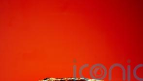 How to make Nathan Anthony&rsquo;s quick beef taco-style quesadillas