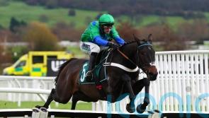 Henderson will further test Old Park Star&rsquo;s two-mile potential