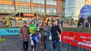 Dinoblue shrugs off last-fence drama in Fairyhouse victory