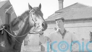 Mill Reef leads the way among Balding&rsquo;s star performers