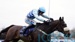 Gustavian bidding to give Honeyball another big prize