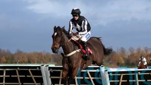 Tizzard hoping Marquesa&rsquo;s improvement has not finished yet