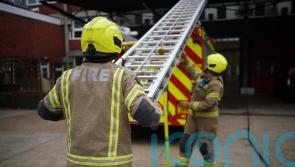 Six dogs reportedly killed in house fire which shut A90