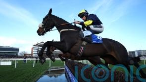 Snowden sets out Cheltenham goal for Wendigo