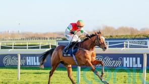 Exeter not out of the question for Idaho Sun before Cheltenham