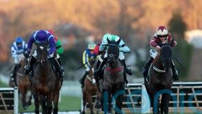 All In You shaping up to be the perfect fit for valuable Newbury target