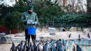 London Zoo celebrates bicentenary with annual stocktake