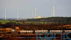 Ireland &lsquo;should use presidency of Council of EU to lead on renewable energy&rsquo;