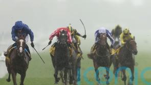 Mill Reef victor Words Of Truth headlines Meydan card