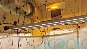 Four arrested after police uncover cannabis factory in Londonderry