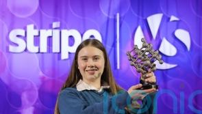 Kerry teenager wins 2026 Young Scientist award with brain cancer treatment tool