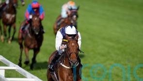 Hopes high for Sober-ing outcome at Punchestown