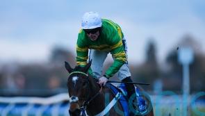 Iberico Lord rules supreme in Lanzarote Hurdle