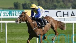 Bambino Fever aiming to regain winning thread