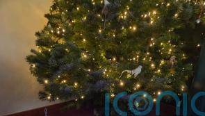 Newborns with jaundice treated at home in sleeping bag-style garment