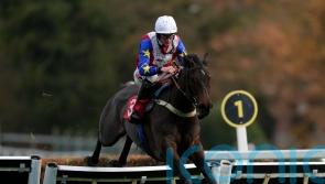 Hurricane Pat heading for Haydock run at the weekend