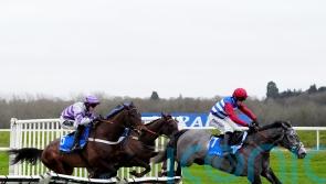 Lawes considering the next step for Challow runner-up Klimt Madrik